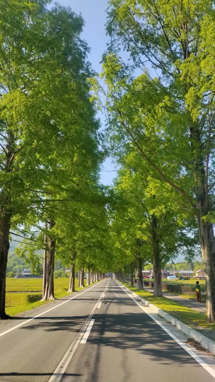 大阪🐬兵庫🐬京都🐬まったり雑談𓂃 ✿𓈒𓏸