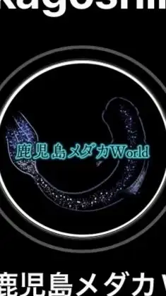 鹿児島メダカWorld＆真宮めだかオークション用オープンチャット