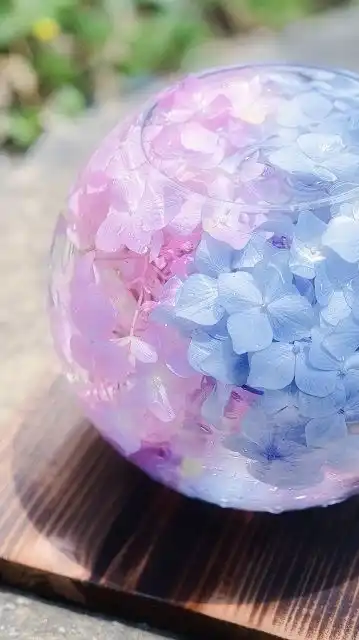 🌈おでかけ・おうち🏡時間を楽しも〜ᕷ*.°