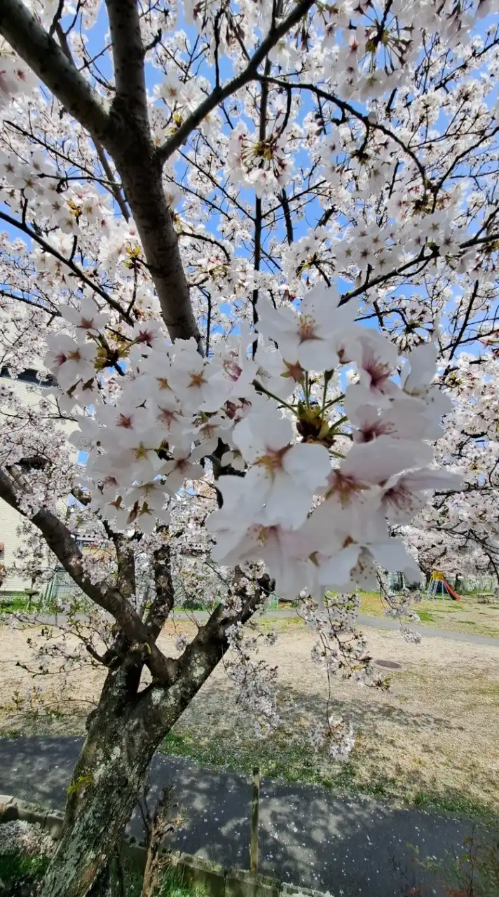 メンタルヘルスみんなの憩いの場