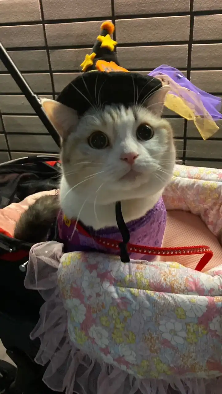🎀英美瑠のお部屋🎀