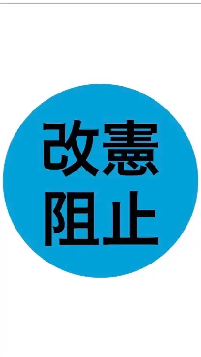 改憲阻止❗️誤誘導情報みんなの保管庫✨