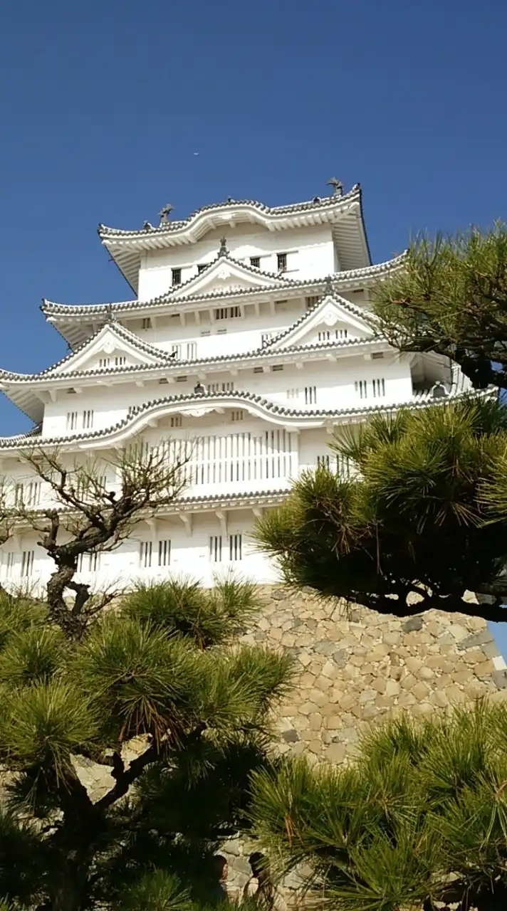 ⛩️神社仏閣＆お城🏯素敵な景色パワースポット✨巡り隊❕🫡