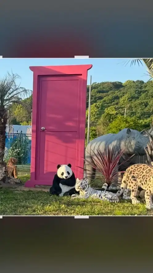 岡山☘️近県(広島 香川 兵庫 鳥取)陽だまりカフェ