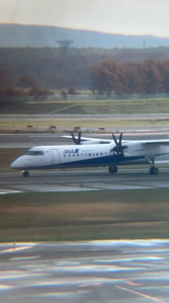 飛行機好き軽々きてね