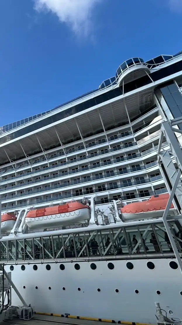 MSCベリッシマ🚢情報交換