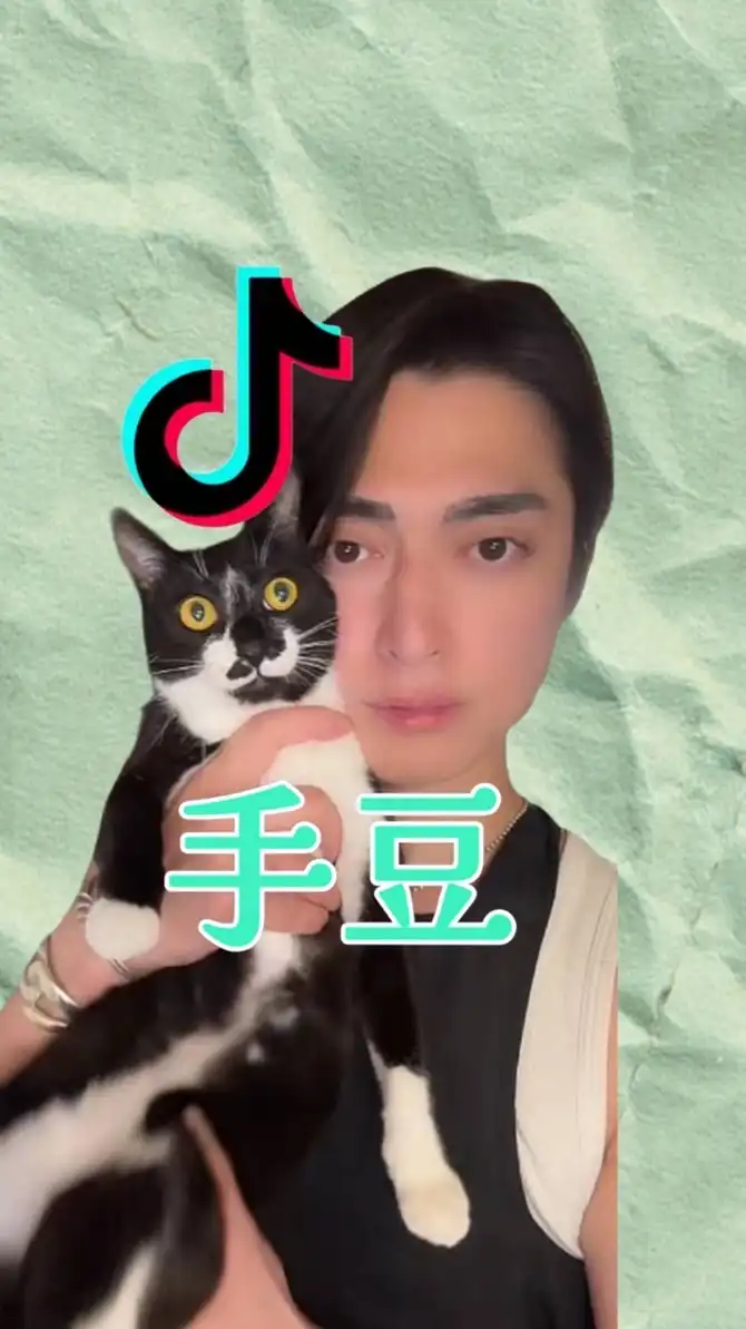 手豆🐈‍⬛🐈‍⬛※サブスク限定※【TikTok・Instagram】