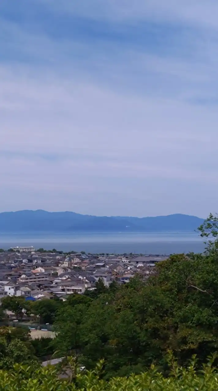 TikTokライトでお金を貯めよう!!