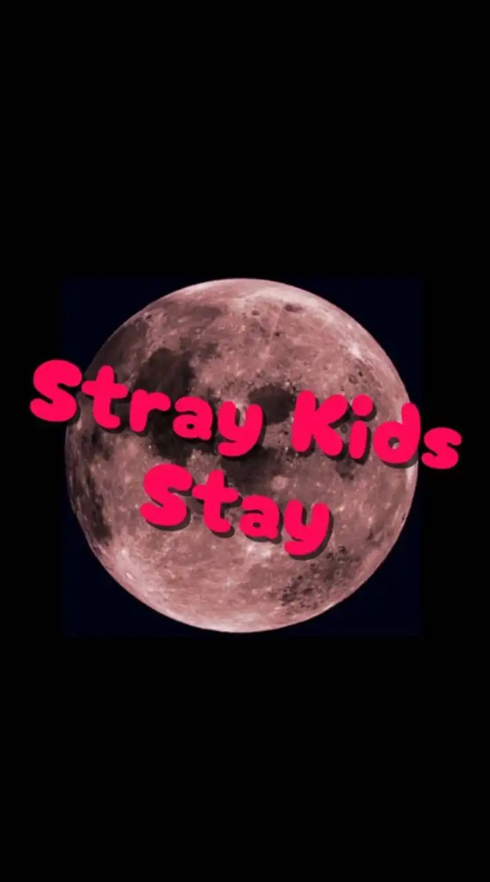 straykidsを語る会