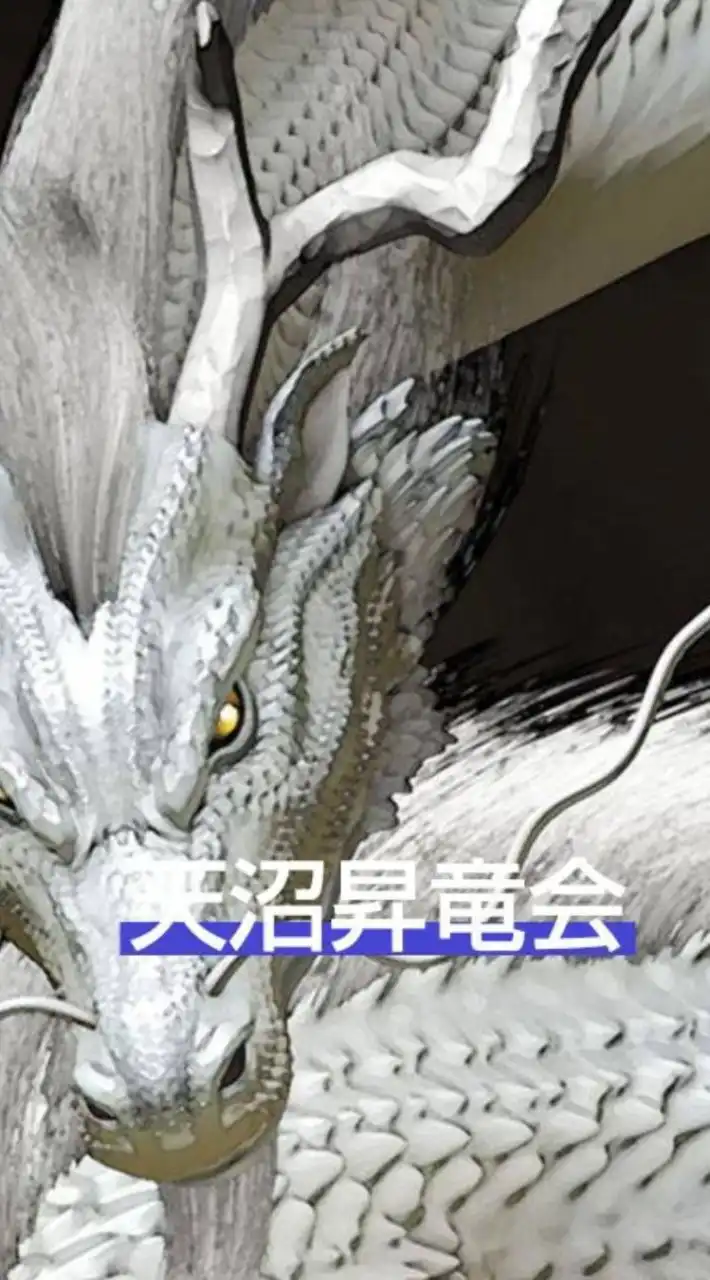 天沼昇龍会(関東竜、ドラゴンズファン歓迎！)ドラゴンズ応援チャット！