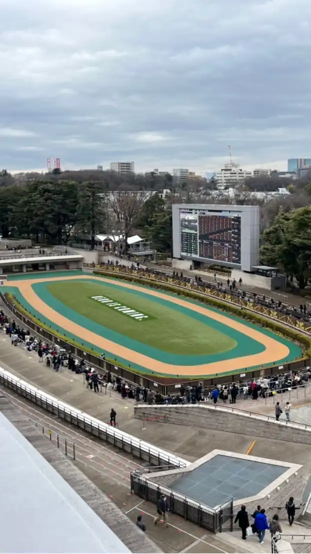 かりんの競馬共和国