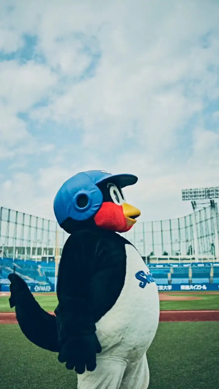 40代50代独身女の野球観戦