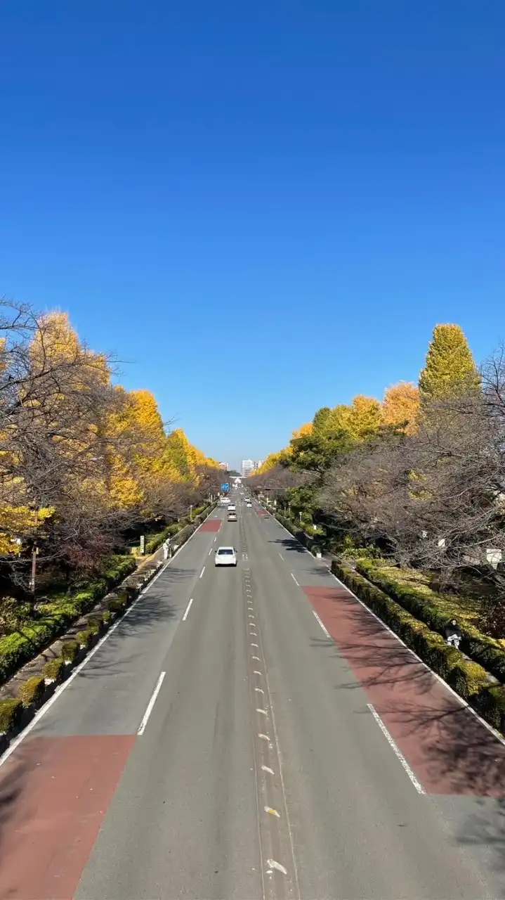 【国立市周辺】ママさん集合♡情報交換しましょう