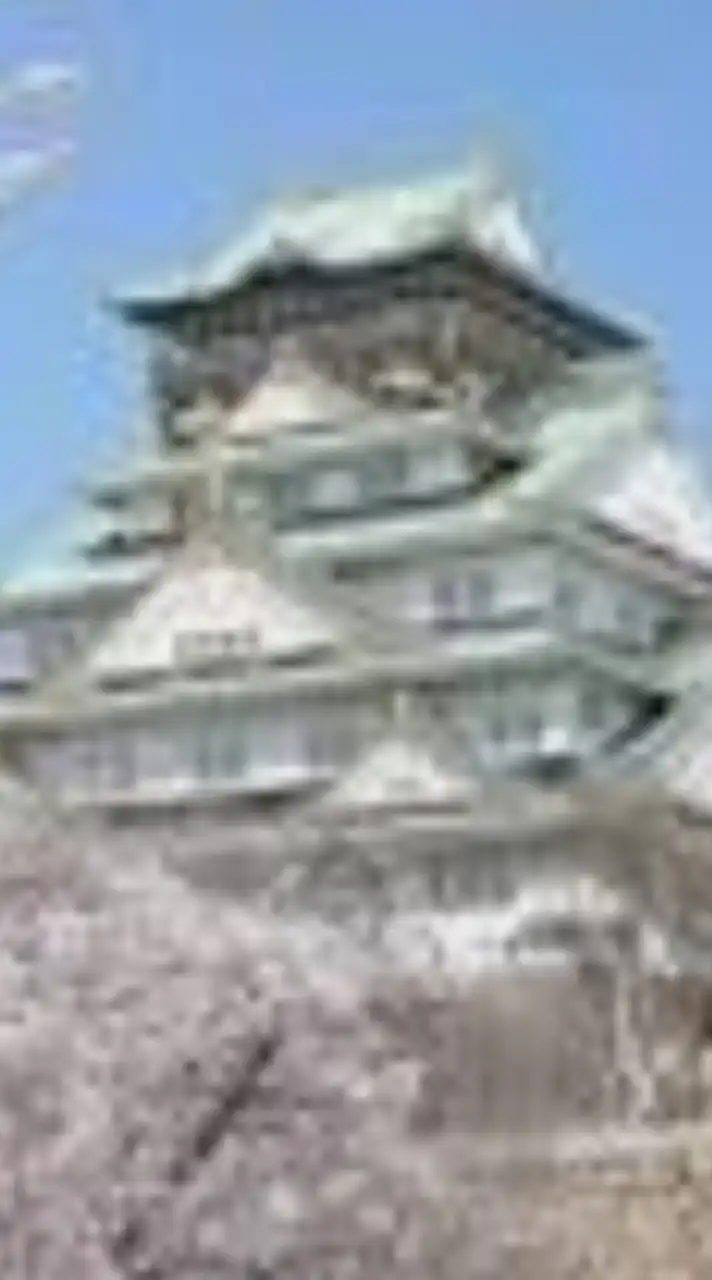 関西支部