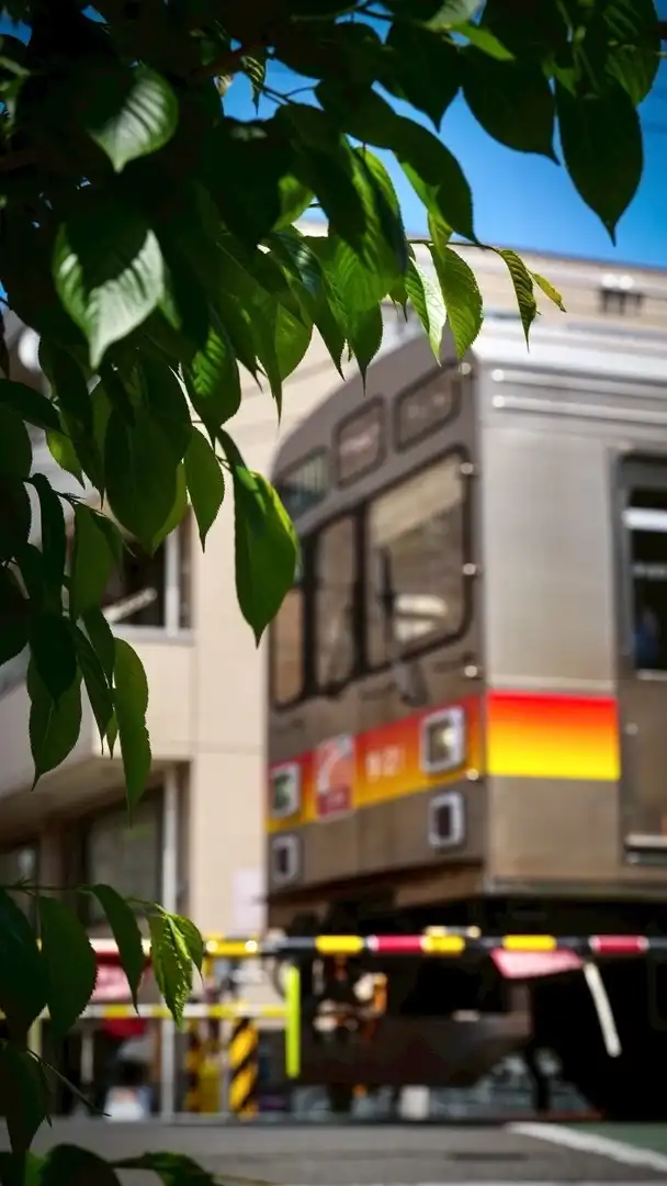 スジ公開&雑談