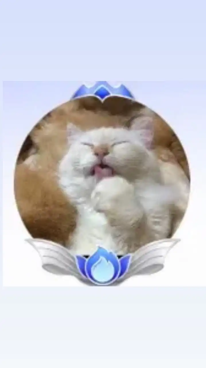 🐾ちゃしろ🐾のオプチャ