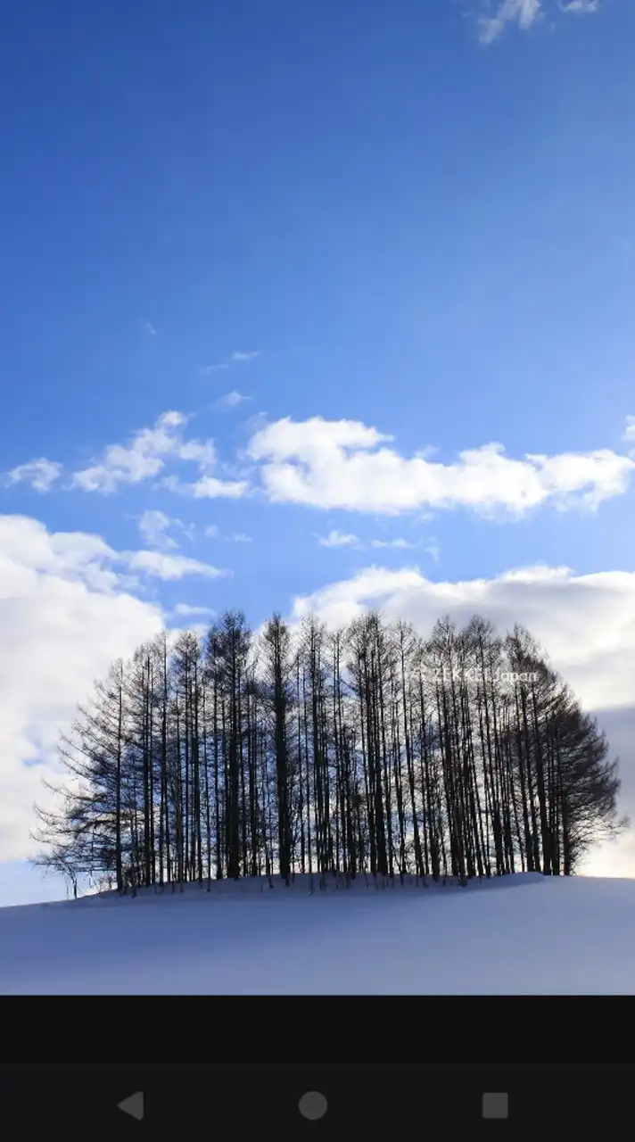 ポケモンGO北海道