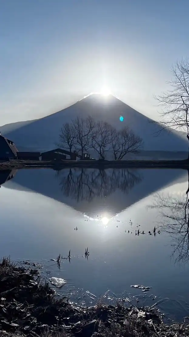 みんなの居場所🕊️