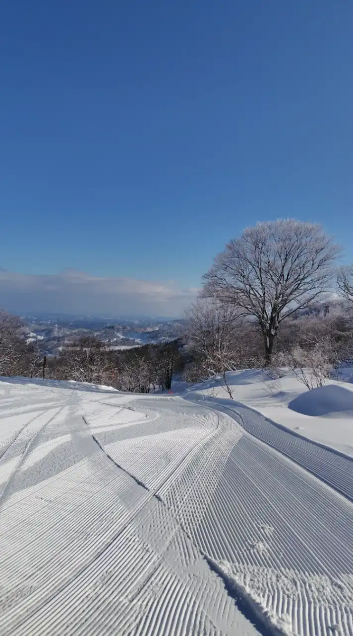 首都圏(埼玉)平日スノーボードにソロで行ってる方、たまには皆で行きましょう！