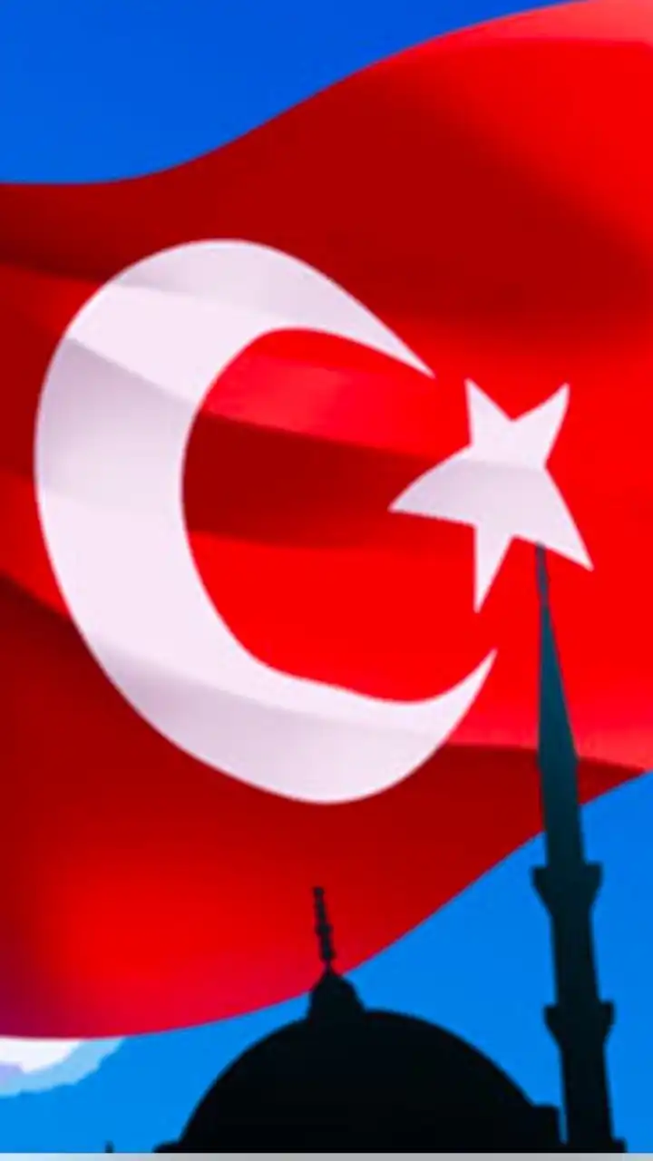 FX ドル円/トルコリラ円スワップ投資🇺🇸🇯🇵🇹🇷(初心者向け)