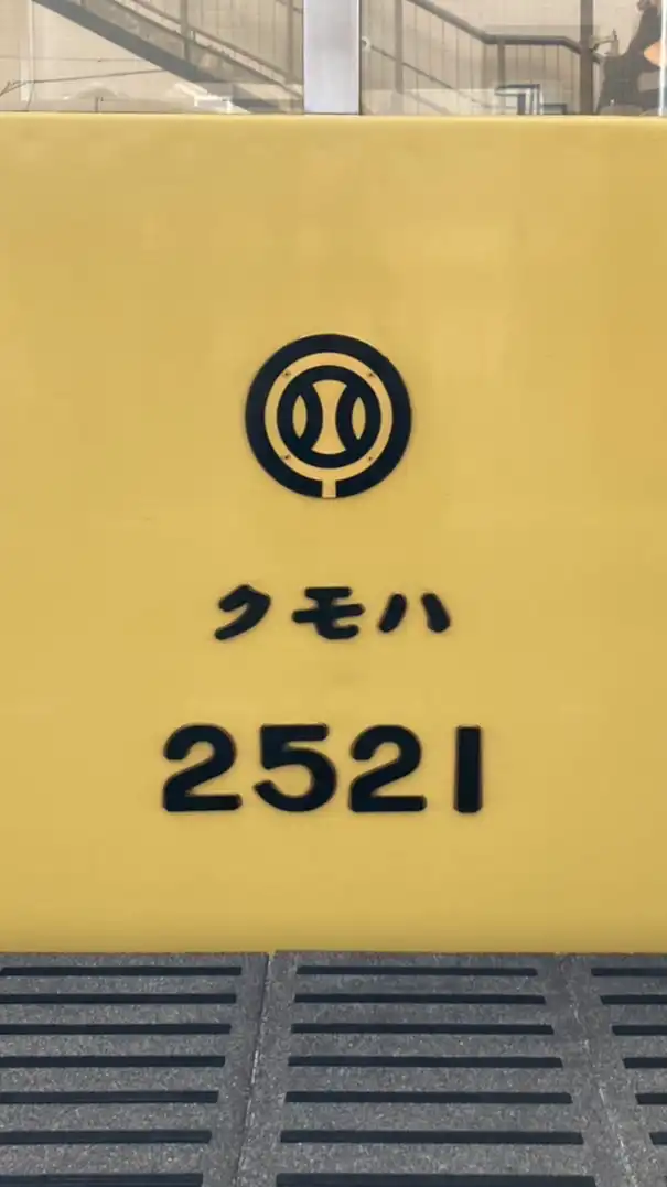 西武新2000系 4両編成ファン集合！