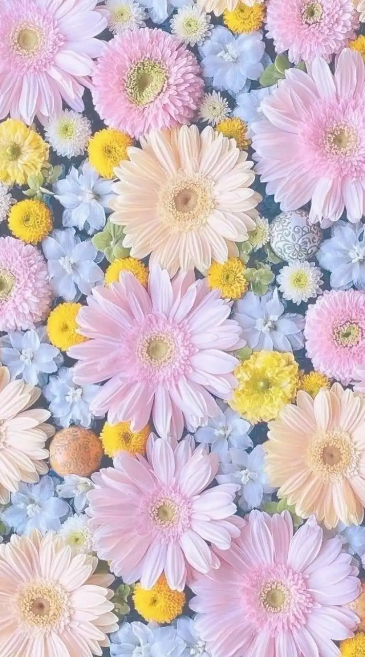 癒しのオプチャ宣伝/相互/集客【全国版】