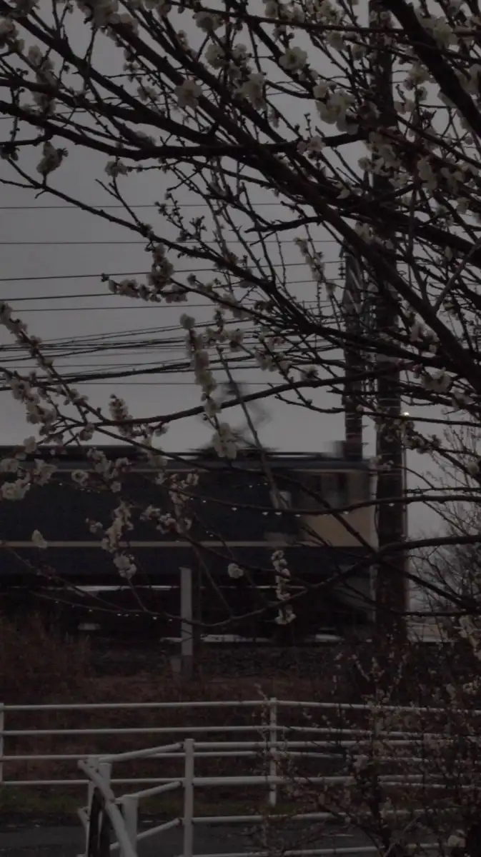 [KNT]鉄道ファンの会‼︎