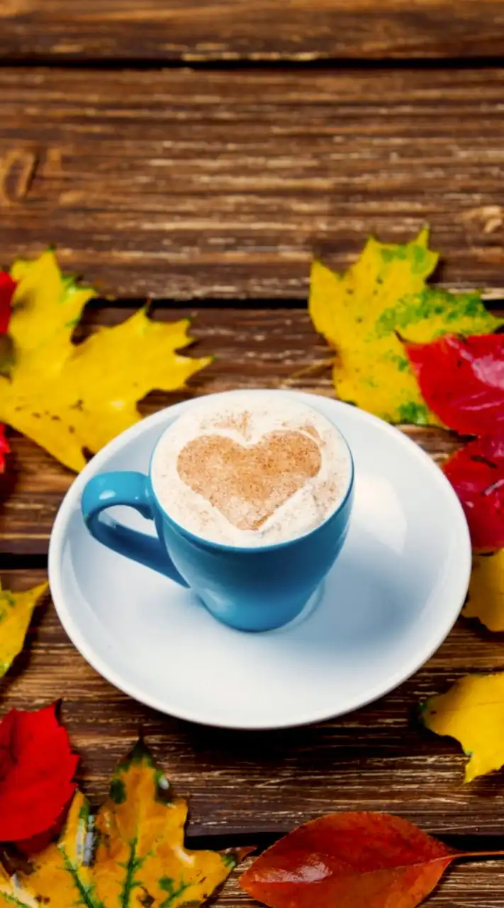 真面目にしりとり遊び～✅