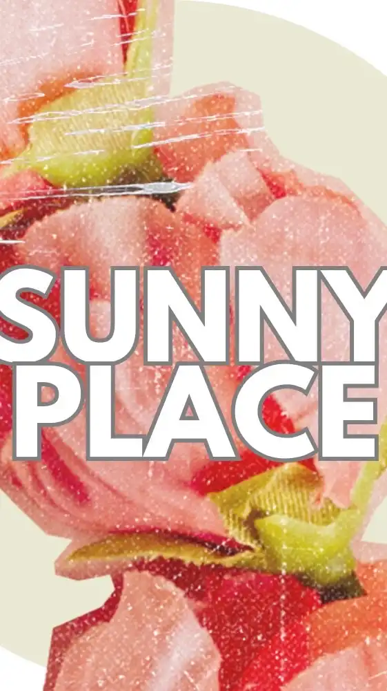 【SunnyPlace】ひとりビジネス入門オプチャ
