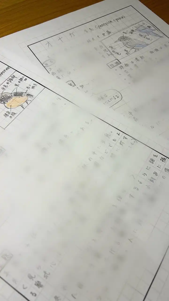 絵本作家目指している人！書いている人！