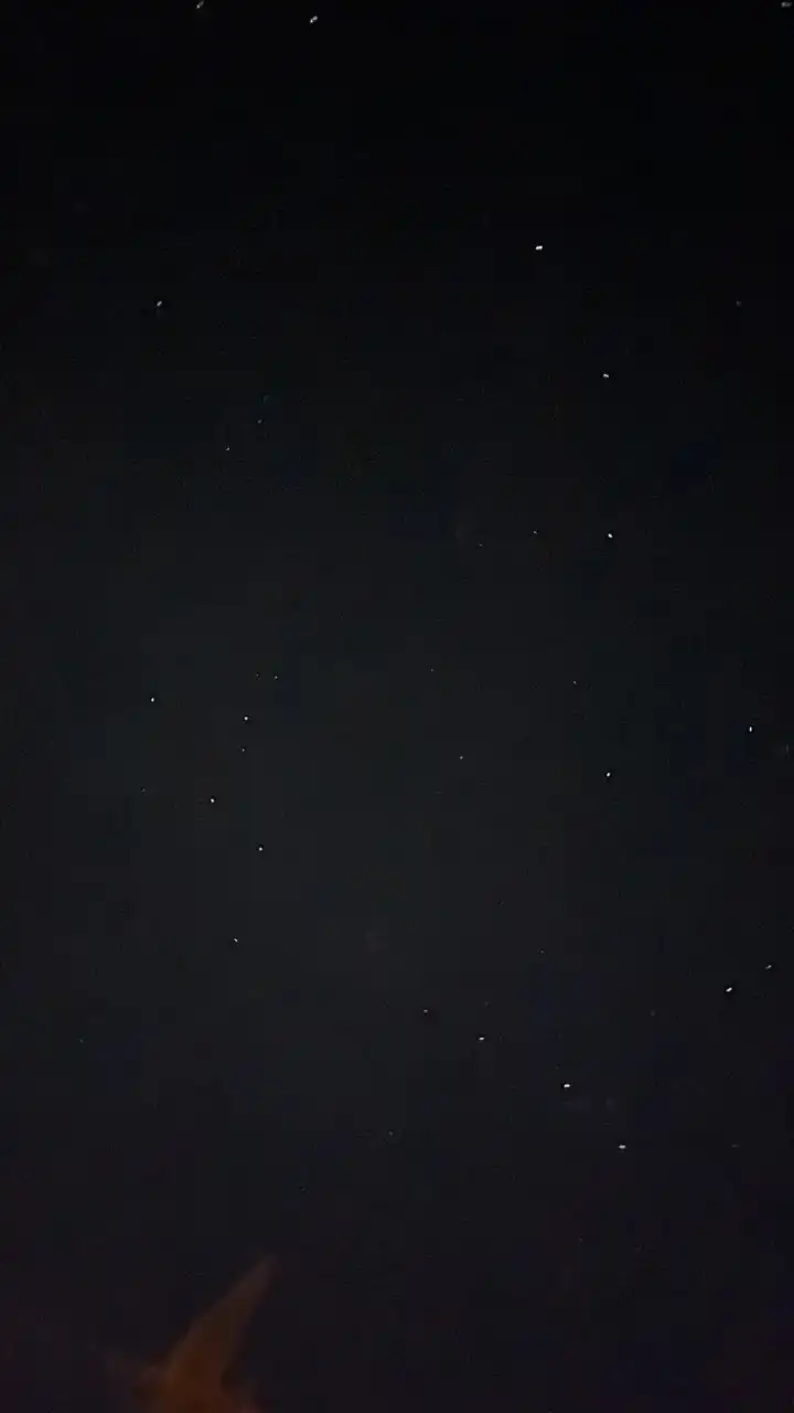 病み仲間募集〜