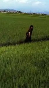 リリフィリア