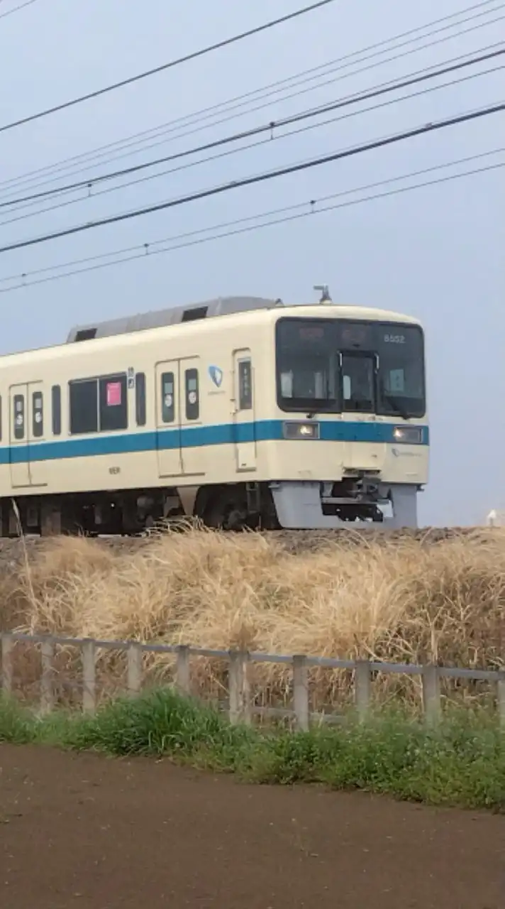 新電車大好き(ロブロックス配信)
