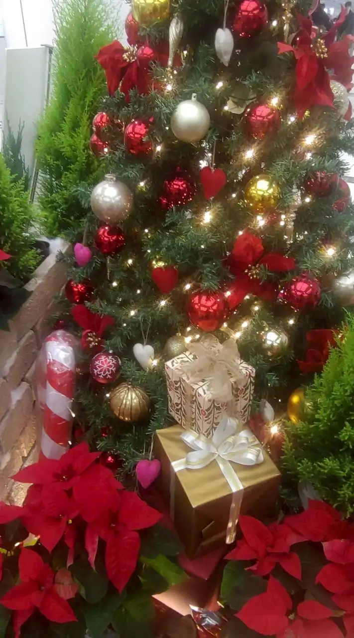 関西・遠足友の会【３０代〜５０代】