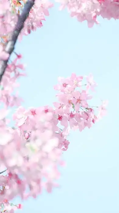 あの日突然 消えてしまった全緩也仮面ハント!?