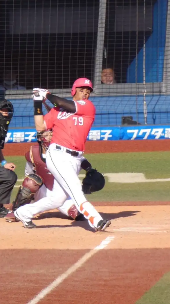 千葉ロッテマリーンズ