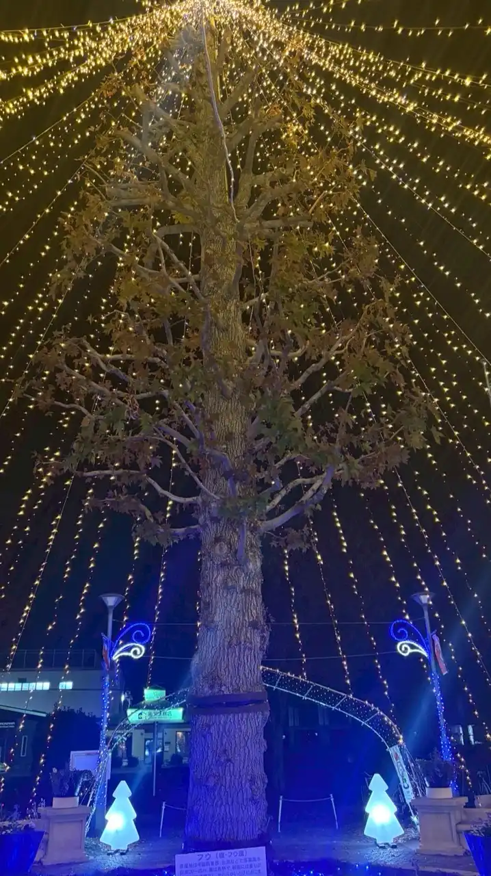 新しい学生さんどうぞ(彼女彼氏居ない居るは自由な部屋)➕美容努力等の部屋