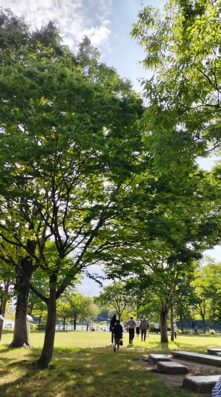 思い出話をしませんか😄楽しかった子供の頃や面白かった事、昔懐かしい、あの頃に🌷(女性限定です)