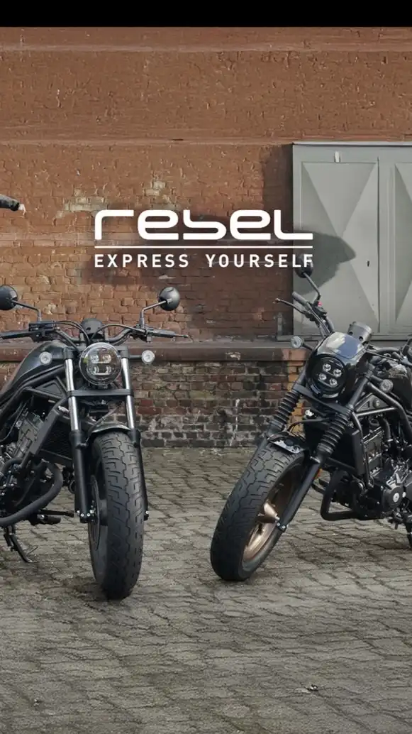 東海レブル (愛知*三重*岐阜*静岡)