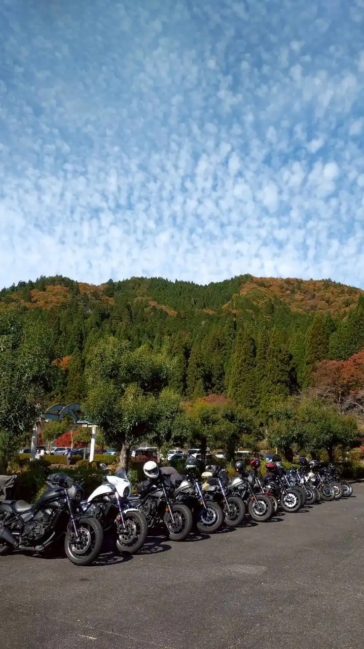 東海レブル (愛知*三重*岐阜*静岡)