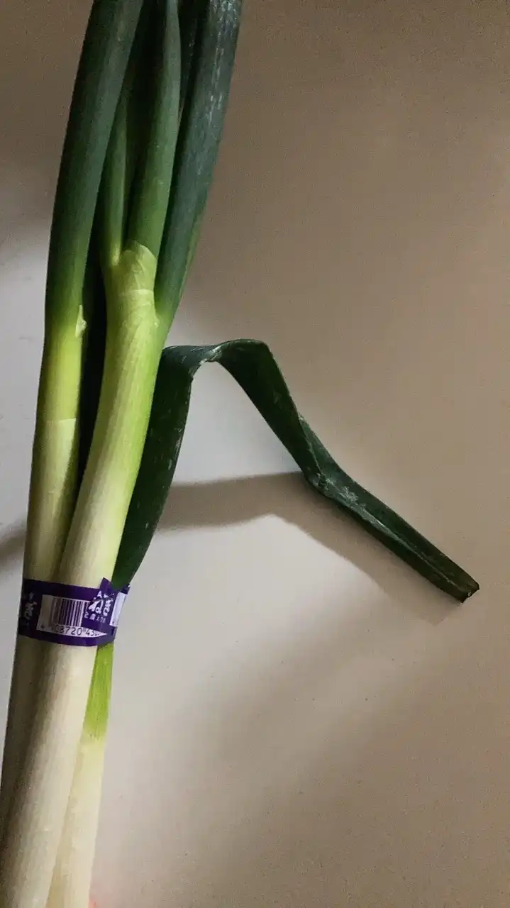 ライブトーク(　-`ω-)✧