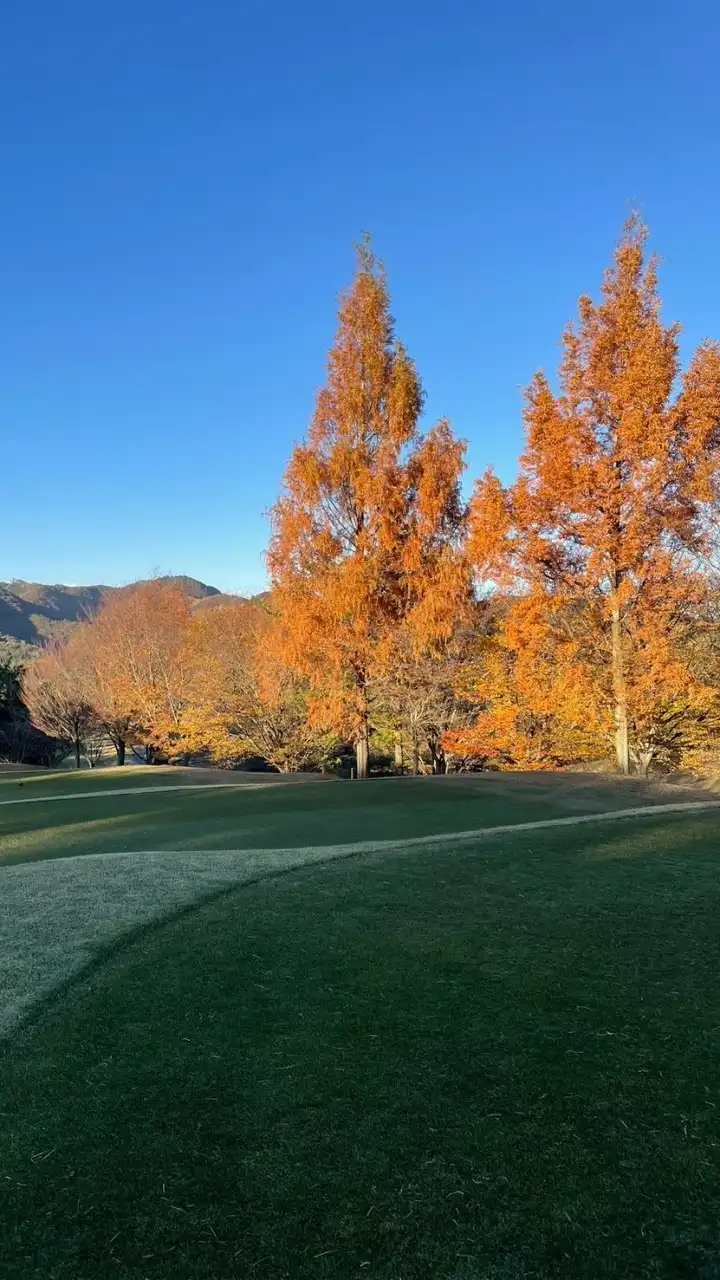 エンジョイゴルフ埼玉栃木⛳️平日・土日祝ゴルフ部屋⛳️