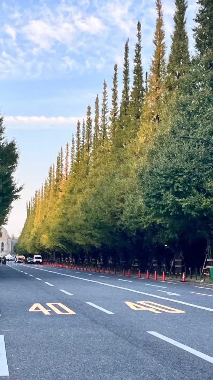 オープニングメンバー募集　　　　　　　　　　　　　🗼東京近郊散策しませんか？