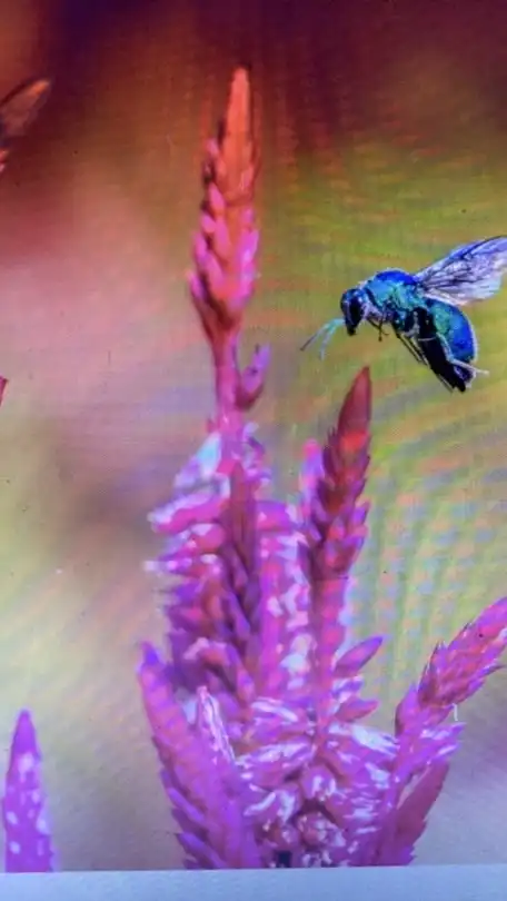 英語一緒に話そう！初心者🔰