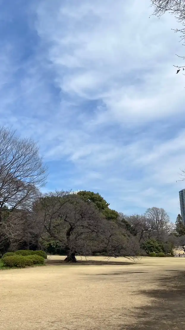 60代〜 仕事も趣味もまだまだ頑張りたいですね（女性限定）