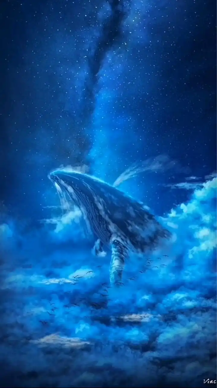 はるるんず集まれ🐋˖⊹