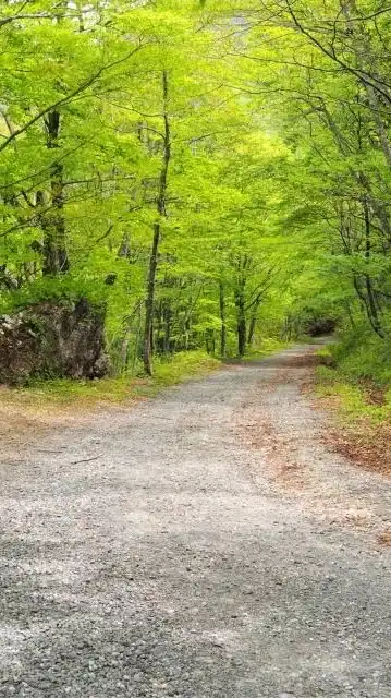 【北東北】林道/オフロードバイク情報交換🌳！