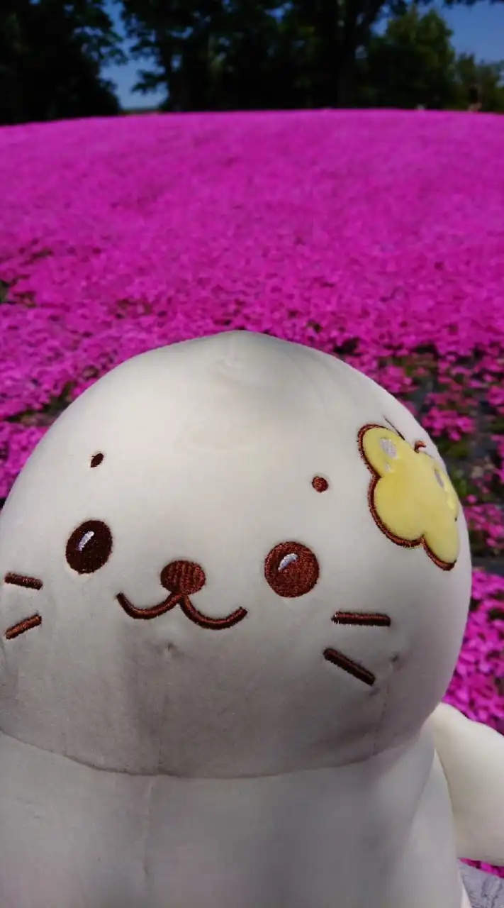 しろたん好きな人居ませんか？語りましょう。キュー❤️