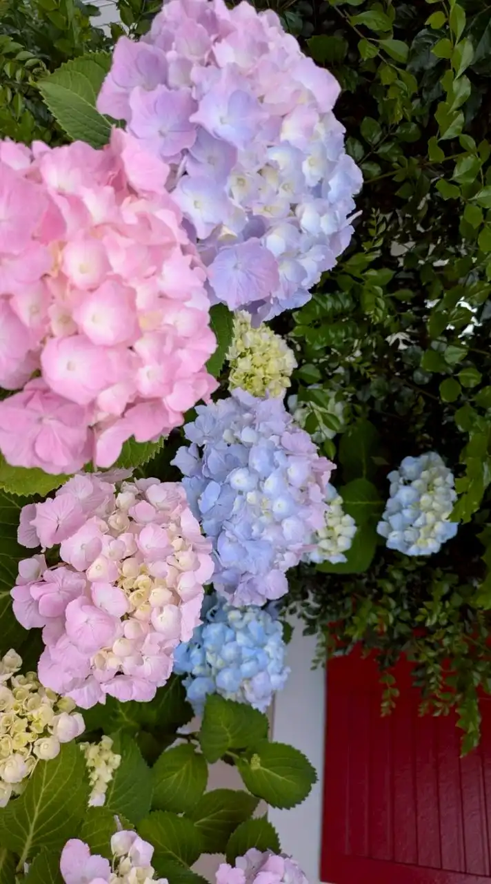 60代〜楽しくトーク😄