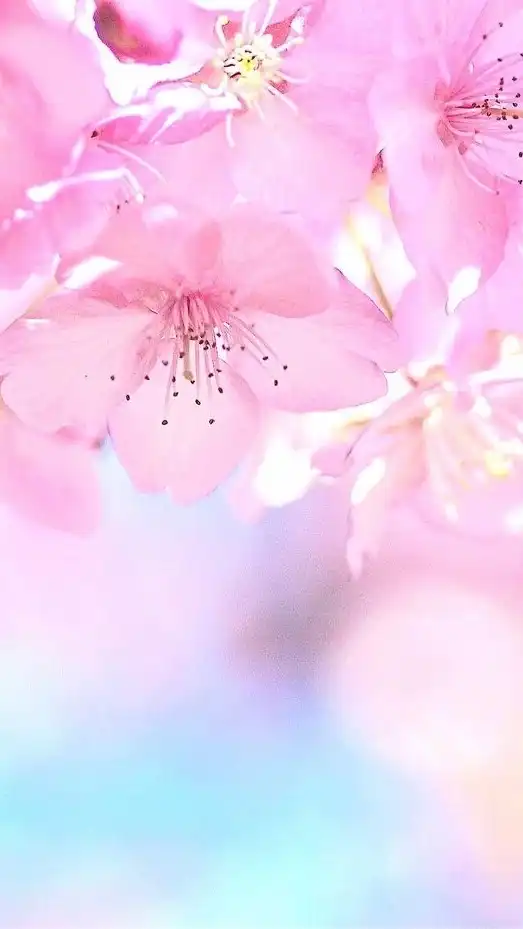 アラフィフ〜第二の人生🌸男女！集まれ💓ここだよっ
